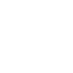 Megaraptor