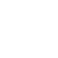Griffon