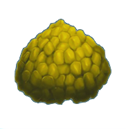 Kibble Legendary (x5)